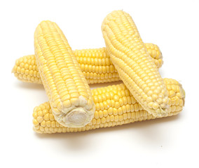 fresh sweet corn