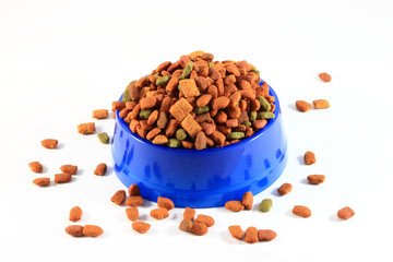 Dry cat food in blue plastic bowl