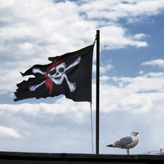 Piratenflagge und Möwe