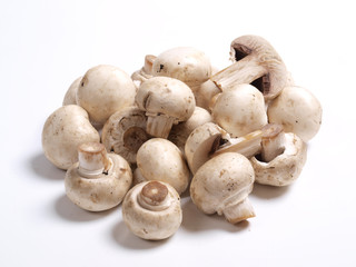 White champignons