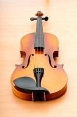 Fototapeta premium Violin isolated on the white