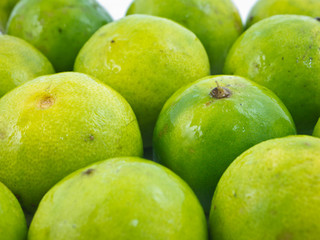 Limes