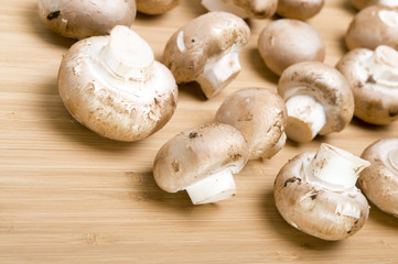 Mushroon on board