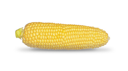 Big corn  isolated on white background