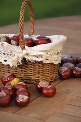 Kastanien aus Wald im verzierten Sammelkörbchen