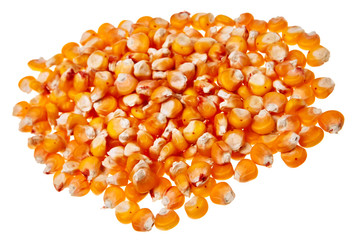 Corn seeds isolated over white background.