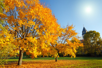 Fototapete bei efototapeten.de bestellen   