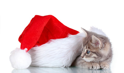 Obraz na płótnie Canvas Beautiful gray kitten and Christmas hat isolated on white