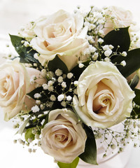 Close-up of the rosebud