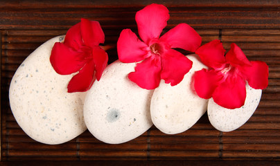 Vassoio di bambù con Pietre Bianche