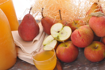 Bio Apfel- und Birnensaft