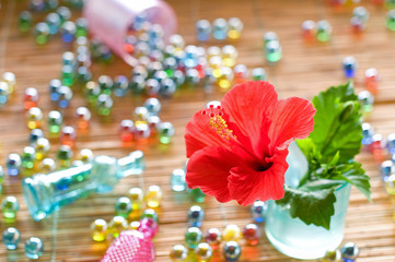 ハイビスカスとビー玉