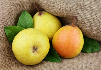 Ripe yellow pears