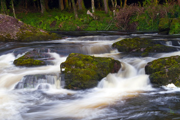 Autumn mountain stream in Killarney National Park, Ireland