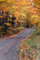 One Lane Autumn