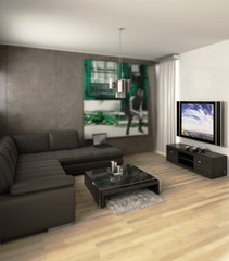 Apartment with a TV (focus)