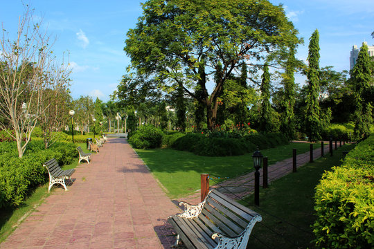 wooden park bench