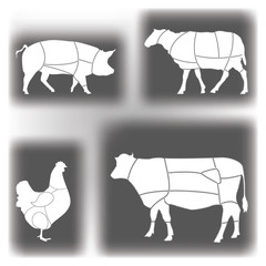 Meat diagrams