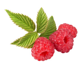 fresh raspberries on white background