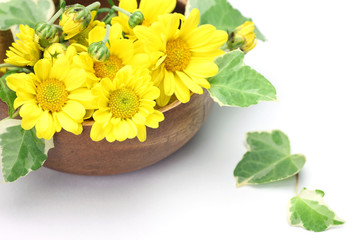 chrysanthemum and ivy