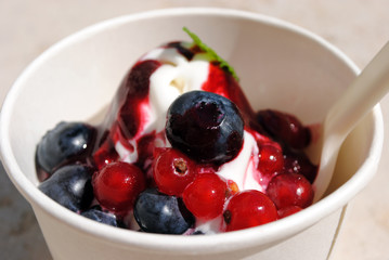 Frozen Joghurt mit Waldbeeren