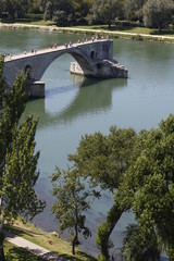 Fototapeta na wymiar Avignone Il palazzo dei Papi - Il ponte sul Rodano