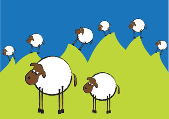 sheep illustration