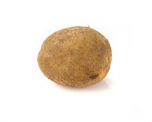 Fototapeta premium Potato isolated on white background