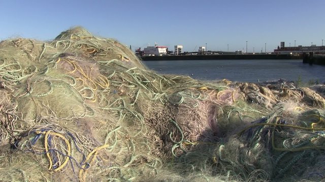 p&ccedil;eche artisanale &agrave; Calais