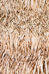 Close up of ground. Texture of straw.