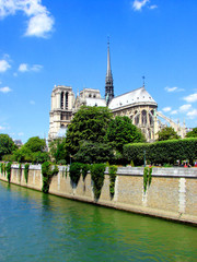 Fototapeta na wymiar Notre Dame de Paris, a nad Sekwaną