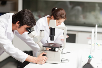 Serious science students using a microscope