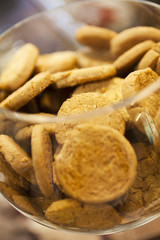 Group of biscuits