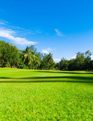 Fairway Green Fields