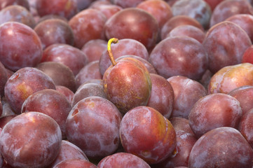 Background from ripe plums.