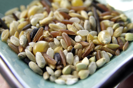 c&eacute;r&eacute;ales bio