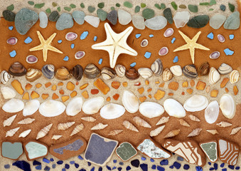 composition of shells, starfish and sand