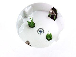 grass growing on power supply