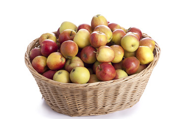 Organic harvest: basket full of apples