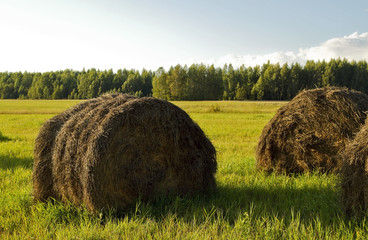 Haystack in the field