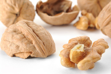 Pecan