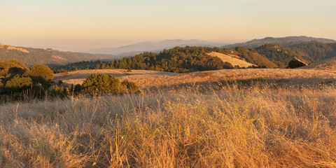 Panorama of chaparral landscape at sunset in California.