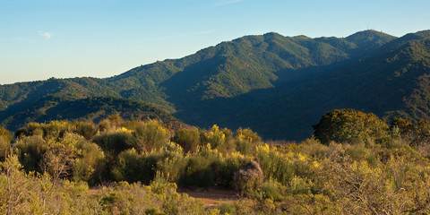Panorama of a typical Central California sunset over wildflowers