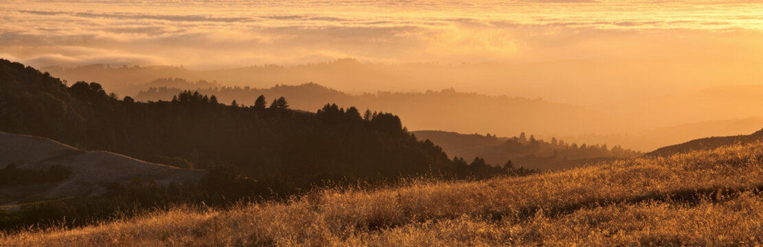 Fototapeta Panorama Kalifornia zatoki terenu mgła przy zmierzchem.