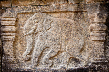 ancient carvings of elephant, polonnaruwa, sri lanka