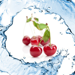 Fototapeta na wymiar Red cherry z liści i plusk wody na białym