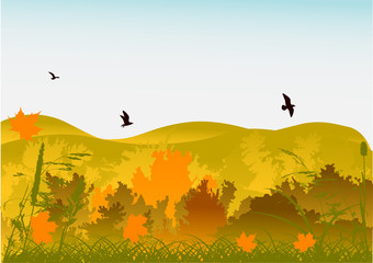 Naklejka na ściany i meble yellow autumn forest landscape under blue sky