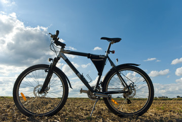 Naklejka premium bike