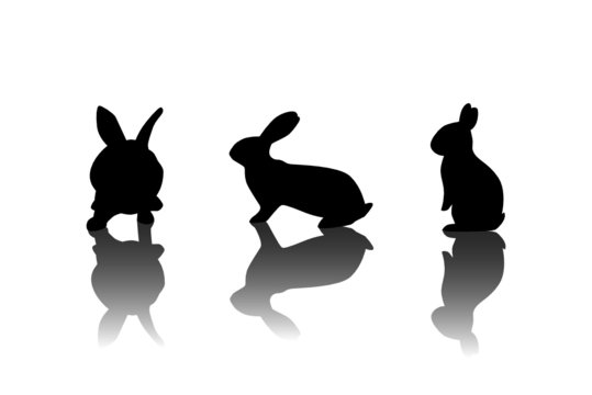 Kaninchen Set