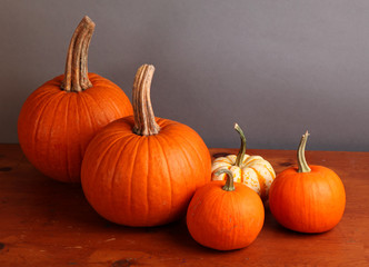 Small Decorative Pumpkins